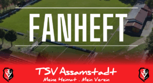 TSV Fanheft – Ausgabe 12